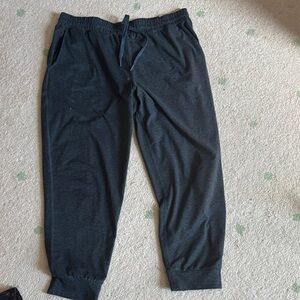 Quince Charcoal Jogger Pants